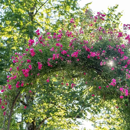 Pri Srni Vakantiehuis