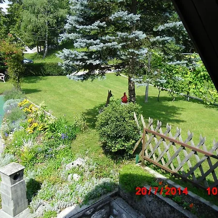 Pri Srni Bohinj