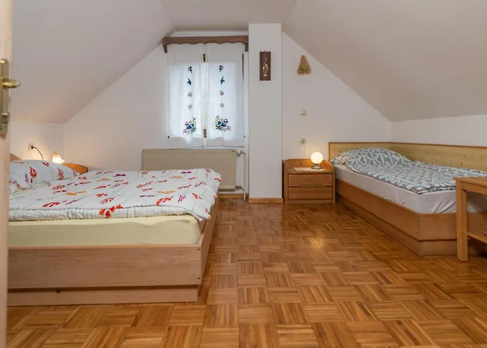 Pri Srni Holiday home