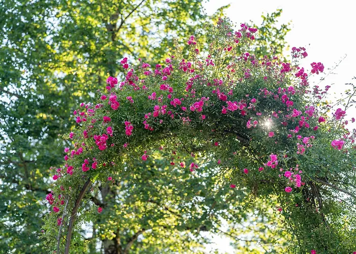 Pri Srni Holiday home